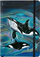 Killer Whales Journal